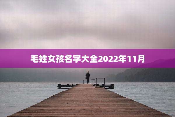 毛姓女孩名字大全2022年11月