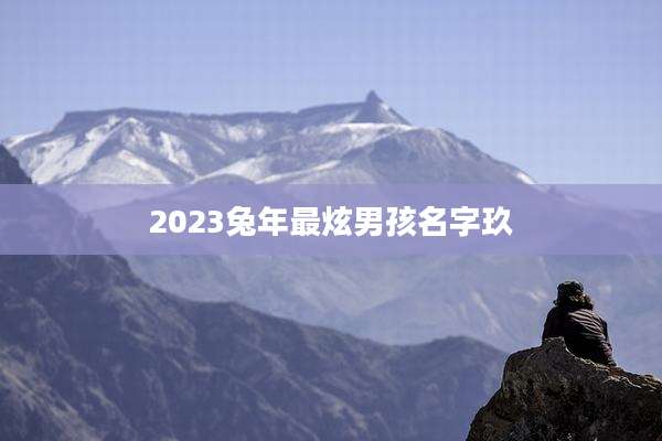 2023兔年最炫男孩名字玖