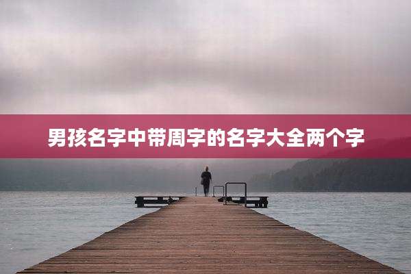 男孩名字中带周字的名字大全两个字