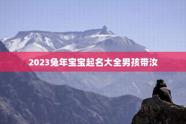 2023兔年宝宝起名大全男孩带汝