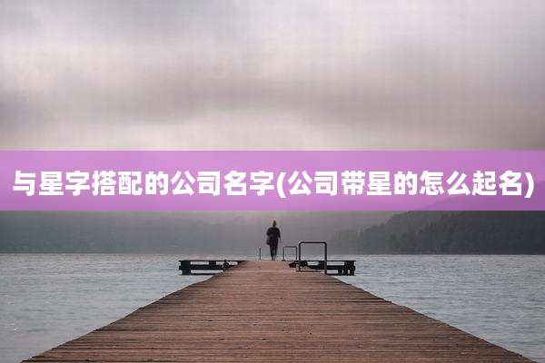 与星字搭配的公司名字(公司带星的怎么起名)