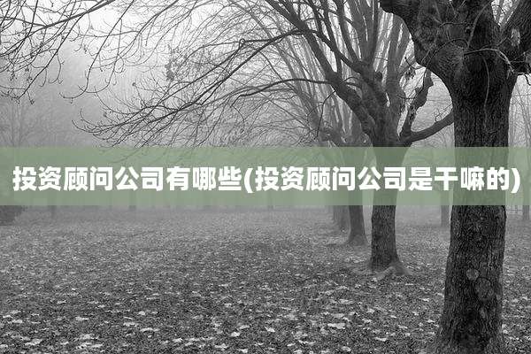 投资顾问公司有哪些(投资顾问公司是干嘛的)