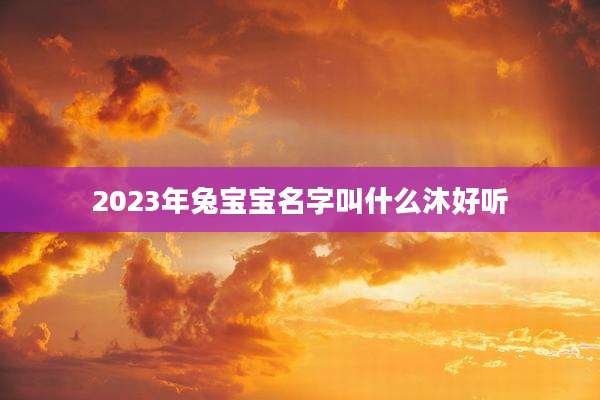 2023年兔宝宝名字叫什么沐好听