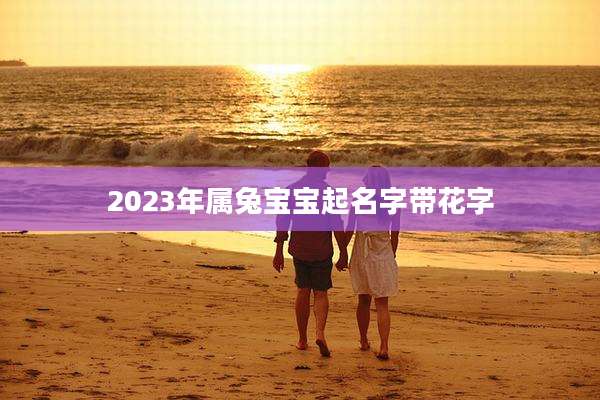 2023年属兔宝宝起名字带花字
