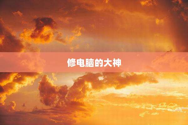 修电脑的大神