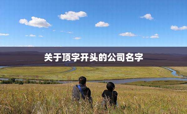 关于顶字开头的公司名字