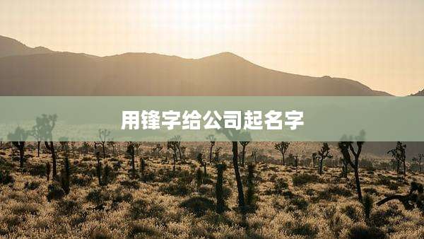 用锋字给公司起名字