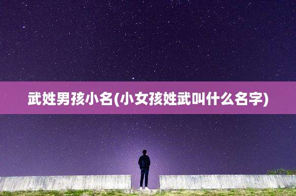 武姓男孩小名(小女孩姓武叫什么名字)