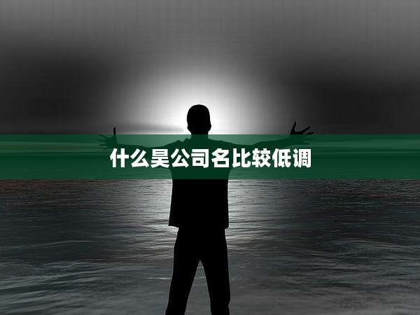 什么昊公司名比较低调
