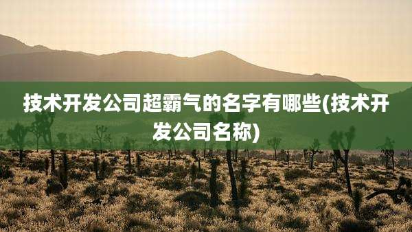技术开发公司超霸气的名字有哪些(技术开发公司名称)