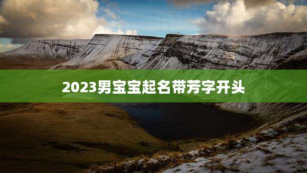 2023男宝宝起名带芳字开头