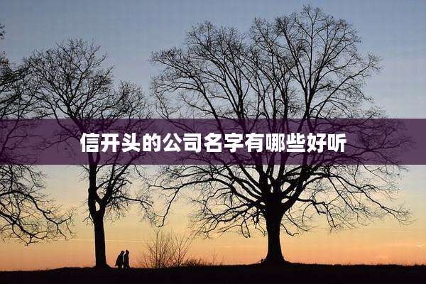信开头的公司名字有哪些好听