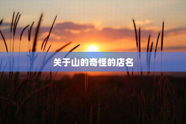 关于山的奇怪的店名