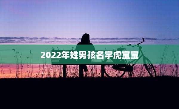 2022年姓男孩名字虎宝宝