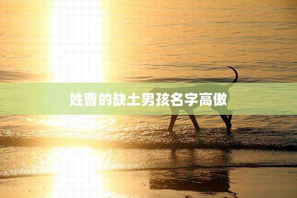 姓曹的缺土男孩名字高傲