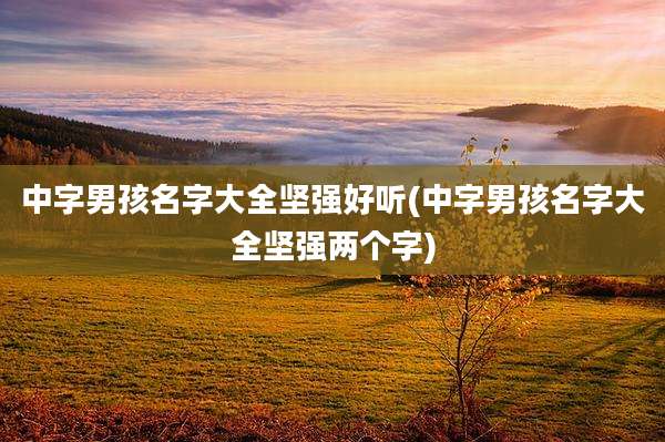 中字男孩名字大全坚强好听(中字男孩名字大全坚强两个字)