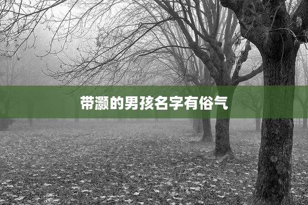 带灏的男孩名字有俗气