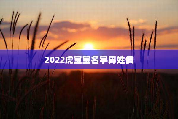 2022虎宝宝名字男姓侯