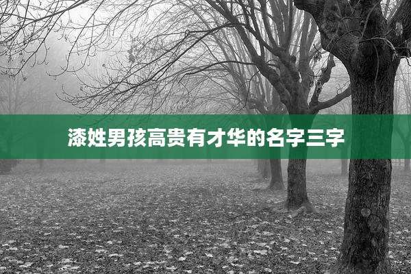 漆姓男孩高贵有才华的名字三字