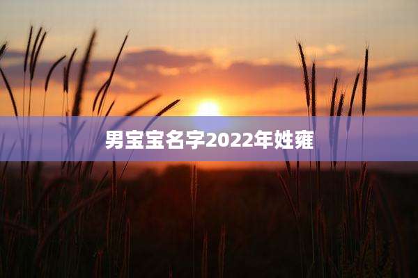 男宝宝名字2022年姓雍