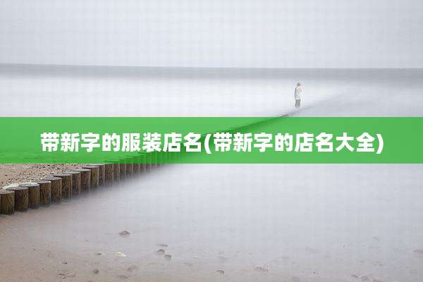 带新字的服装店名(带新字的店名大全)