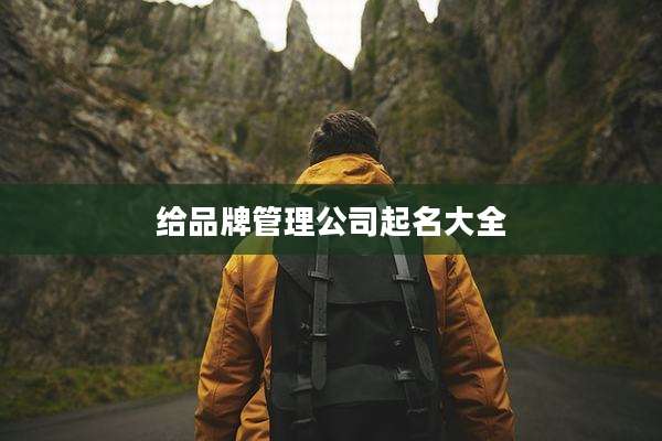 给品牌管理公司起名大全