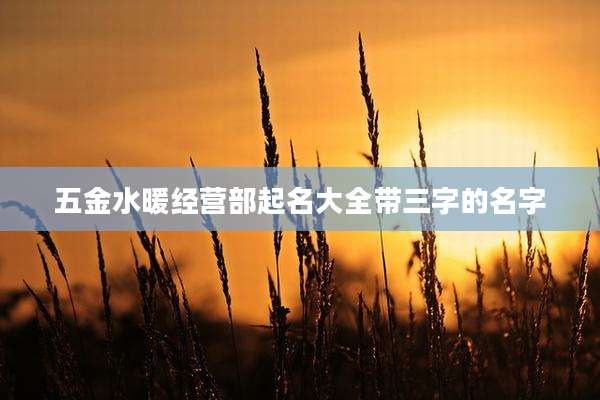 五金水暖经营部起名大全带三字的名字