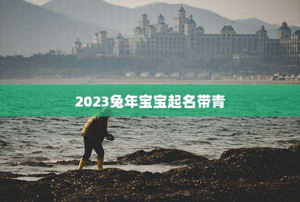 2023兔年宝宝起名带青