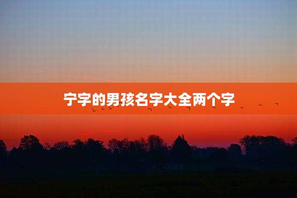 宁字的男孩名字大全两个字