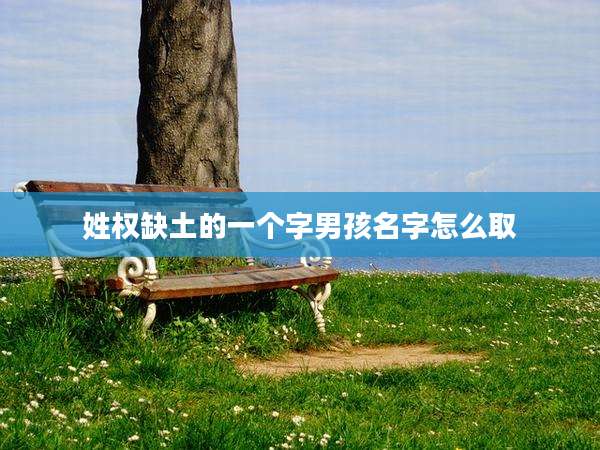 姓权缺土的一个字男孩名字怎么取