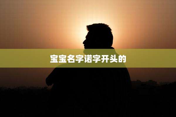 宝宝名字诺字开头的