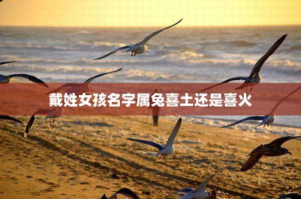 戴姓女孩名字属兔喜土还是喜火