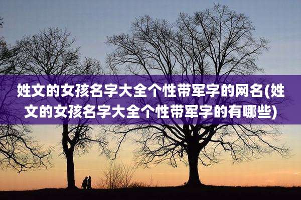 姓文的女孩名字大全个性带军字的网名(姓文的女孩名字大全个性带军字的有哪些)