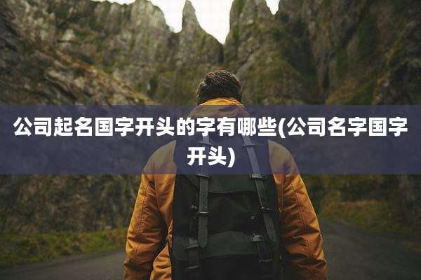 公司起名国字开头的字有哪些(公司名字国字开头)