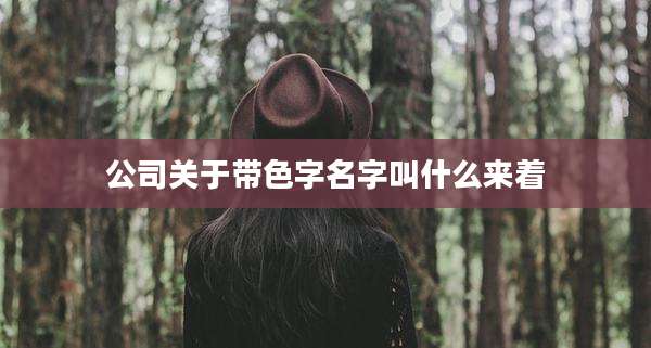 公司关于带色字名字叫什么来着