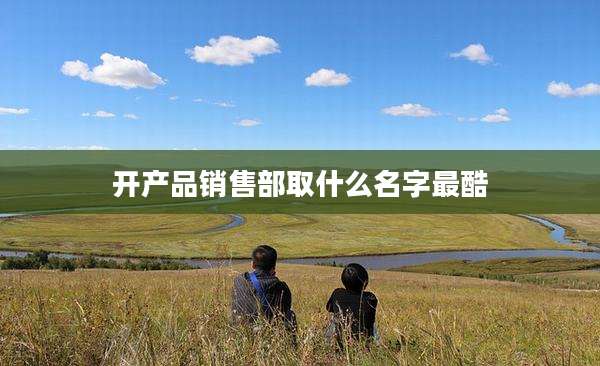 开产品销售部取什么名字最酷
