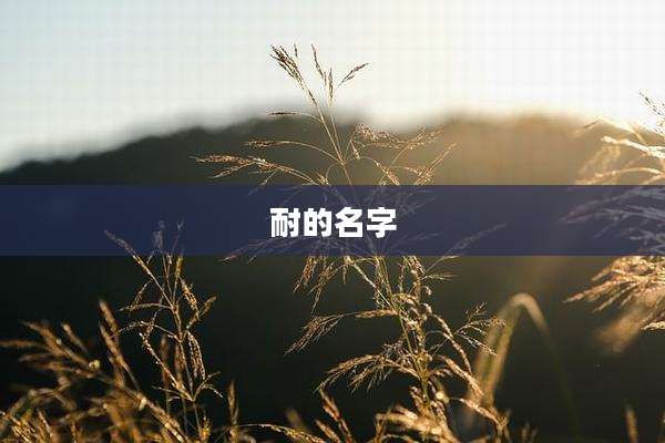 耐的名字