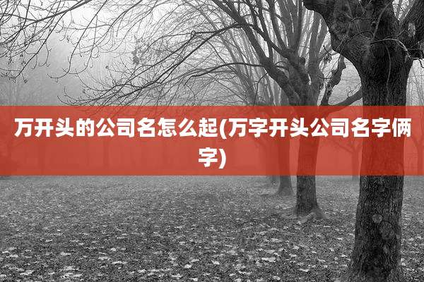 万开头的公司名怎么起(万字开头公司名字俩字)