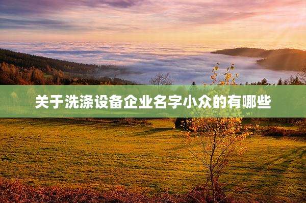 关于洗涤设备企业名字小众的有哪些