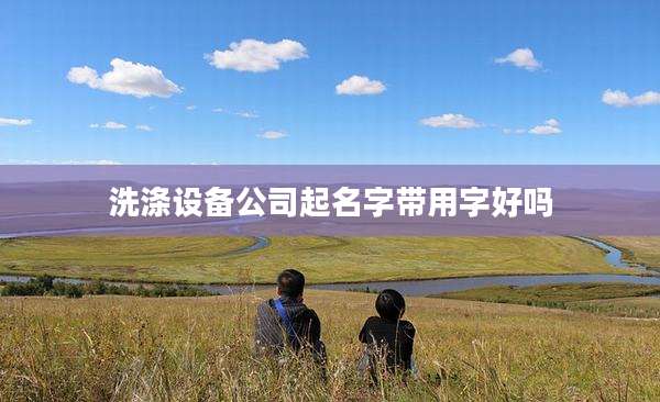 洗涤设备公司起名字带用字好吗