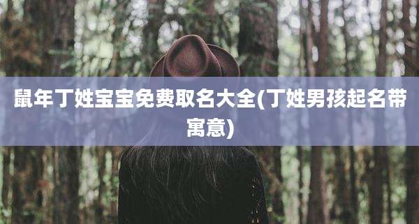 鼠年丁姓宝宝免费取名大全(丁姓男孩起名带寓意)