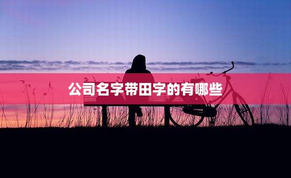 公司名字带田字的有哪些