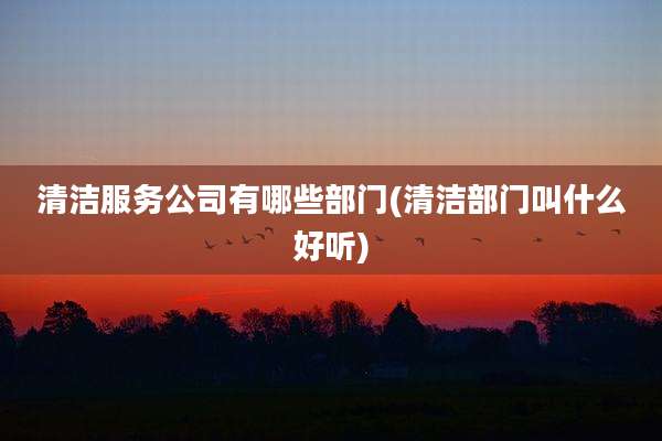 清洁服务公司有哪些部门(清洁部门叫什么好听)