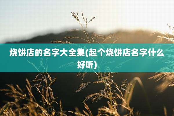 烧饼店的名字大全集(起个烧饼店名字什么好听)