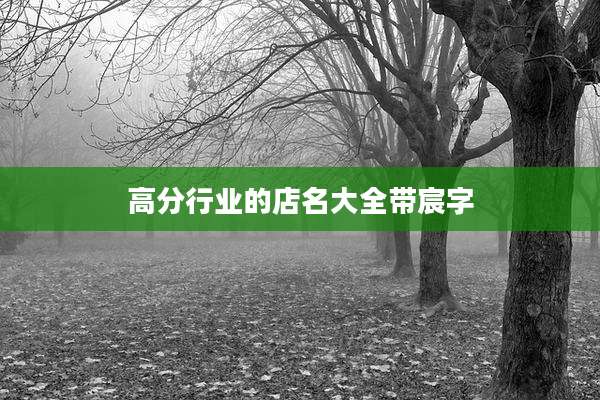 高分行业的店名大全带宸字