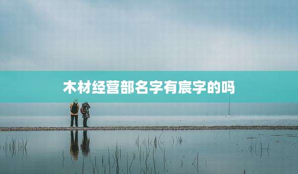 木材经营部名字有宸字的吗