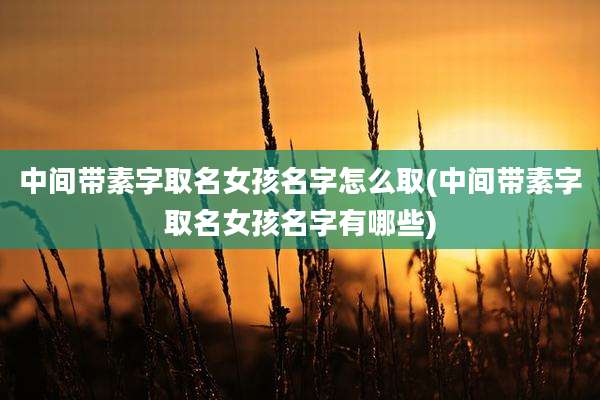 中间带素字取名女孩名字怎么取(中间带素字取名女孩名字有哪些)