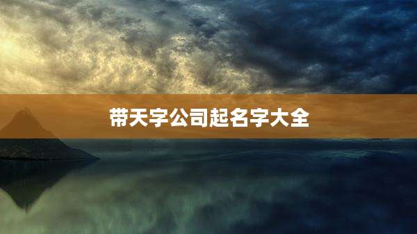 带天字公司起名字大全