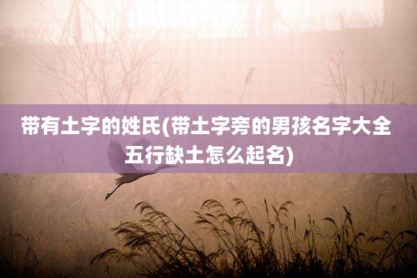 带有土字的姓氏(带土字旁的男孩名字大全 五行缺土怎么起名)