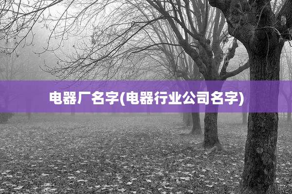 电器厂名字(电器行业公司名字)